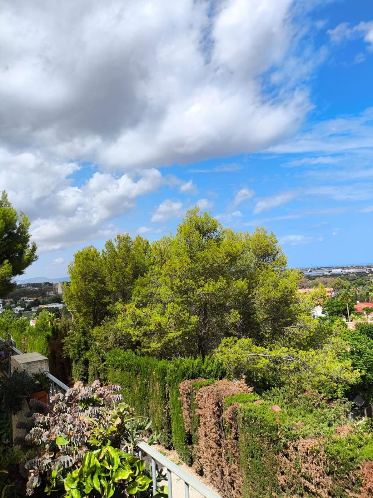Apartemento Monika Monte Pedrera C 5 Top Aussicht Denia Ngoại thất bức ảnh